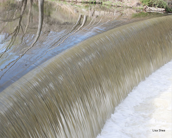 Blackstone River by Lisa Shea